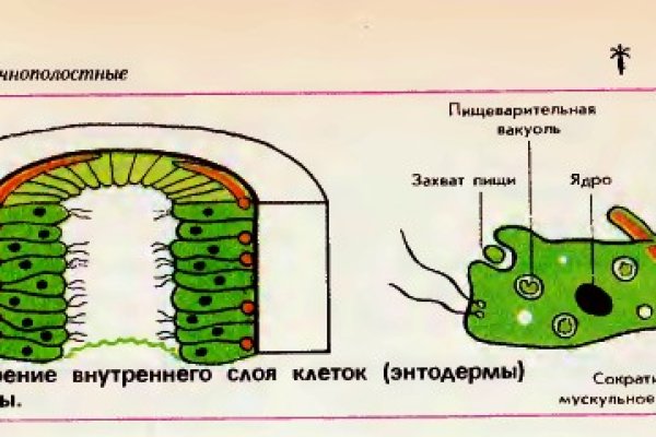 Что такое кракен маркет